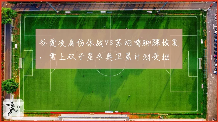 谷爱凌肩伤休战vs苏翊鸣脚踝恢复,雪上双子星冬奥卫冕计划受挫