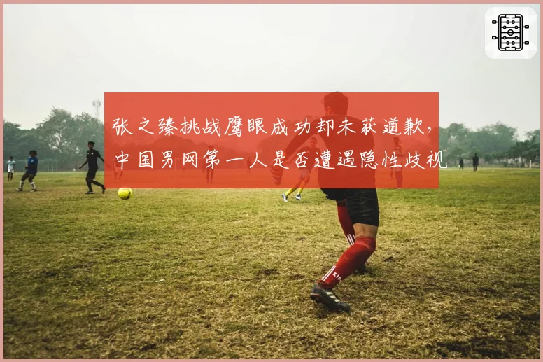 张之臻挑战鹰眼成功却未获道歉,中国男网第一人是否遭遇隐性歧视?