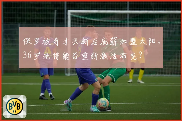 保罗被奇才买断后底薪加盟太阳，36岁老将能否重新激活布克？