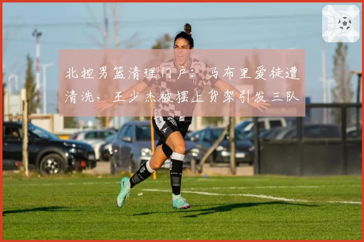 北控男篮清理门户：马布里爱徒遭清洗，王少杰被摆上货架引发三队竞购